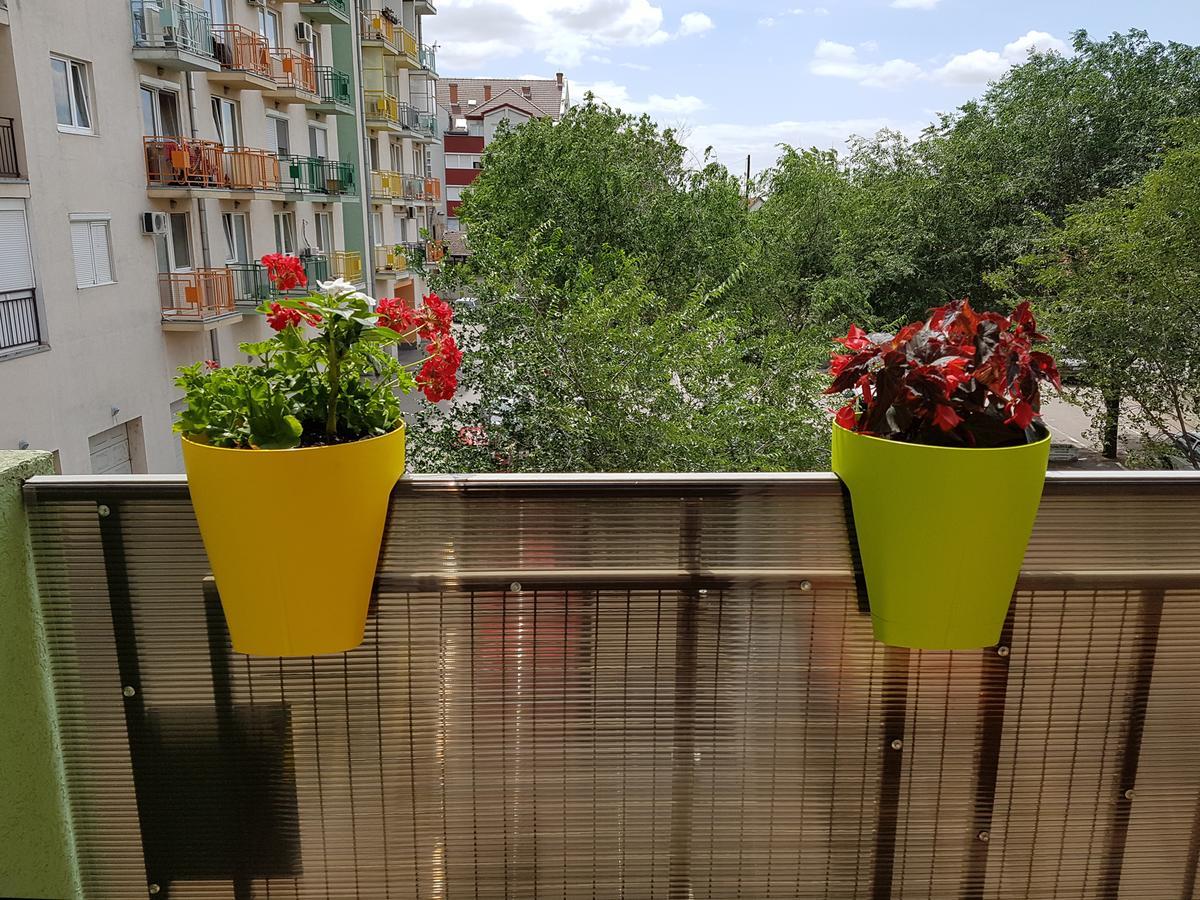 Apartman Boska Суботиця Екстер'єр фото